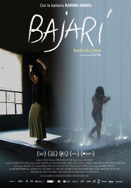 Bajarí (2013)