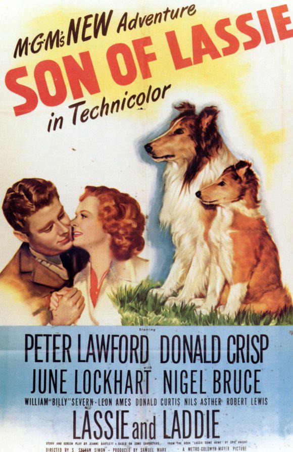 El hijo de Lassie (AKA El cachorro de Lassie) (1945)