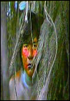 El viento del Ayahuasca (1983)