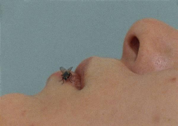 Fly (1970)