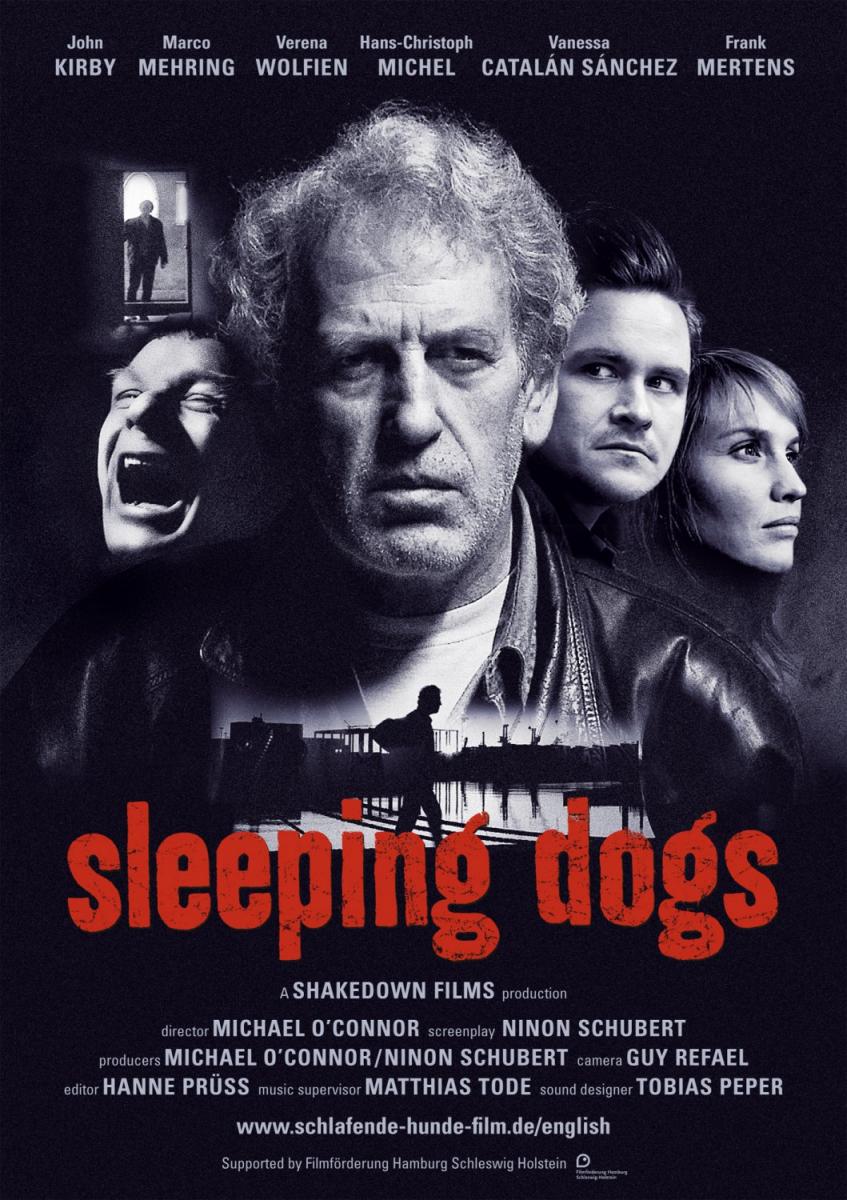 Sleeping Dogs (2010)