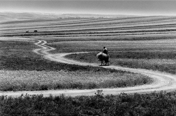 Los caminos de Kiarostami (2006)